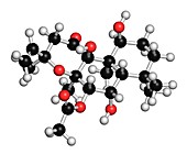 Forskolin molecule