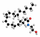 Anandamide endogenous cannabinoid molecule