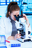 Scientist using microscope