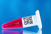 Vial with blood sample against blue background