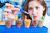 Scientist testing foods