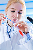 Scientist holding test tube