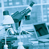 Microscope and scientific equipment