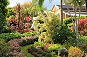 Üppiger und fabenfroher Garten mit exotischen Pflanzen