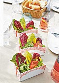 Salat in Faltbox auf Gartentisch