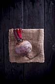 Beetroot on a dark Background