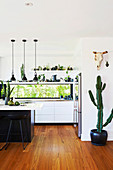 Cactus in front of the open kitchen in black and white