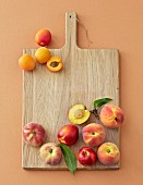 Pfirsiche, Nektarinen und Aprikosen auf Holzbrett