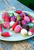 Colourful radishes on plate