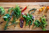 Various fresh herbs with chili peppers on a wooden board