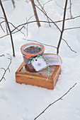Preserving jar with home-made label and wooden box in snow