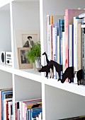Verschiedene Tier-Silhouetten aus schwarzer Pappe zwischen Büchern in weißem Bücherregal