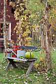 Autumnal arrangement on bench in garden outside Swedish house