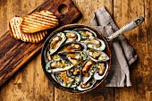Mussels Clams Kiwi in Blue cheese sauce in cooking pan and toasted bread on wooden background