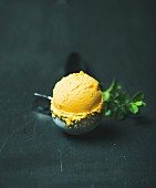 Mango sorbet ice cream scoop in ice cream scooper over black wooden background