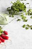 Grüne Sauce, frische Kräuter und Radieschen