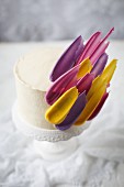 A celebration cake with colourful icing feathers
