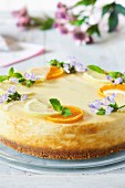 New York cheesecake with citrus fruit slices and edible flowers