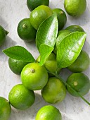 Limequats (a cross between limes and kumquats) and leaves