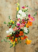 Bouquet of colourful freesias