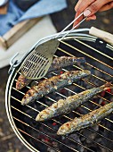 Sardines on a grill