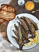Grilled sardine with sourdough toast and saffron and red pepper rouille