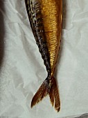 Cured mackerel