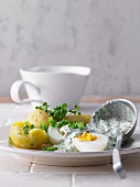 Green sauce with potatoes and boiled eggs