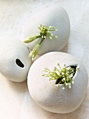 Garlic flowers in ceramic vases