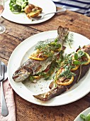 Baked trout with lemon and herbs