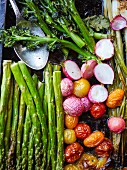 Roasted vegetables, radishes, broccoli, spring onions, asparagus and tomatoes
