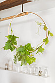 Green grapes on vine tendril wound around embroidery frame