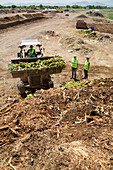 University food waste composting program, Tucson, USA