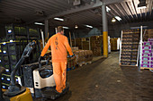 Food bank warehouse, USA