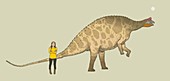Brachytrachelopan dinosaur, illustration