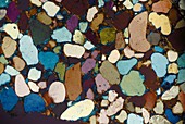 Sandstone in dusty matrix, polarised light micrograph