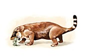 Repenomamus prehistoric mammal, illustration