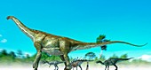Dinosaur sizes comparison, illustration