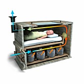 Early baby incubator, illustration
