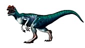 Artwork of Allosaurus