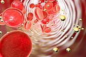 Nanoparticles in blood, illustration