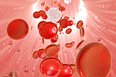 Nanoparticles in blood, illustration