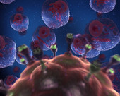 HIV Virus Human Cells 2