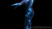 X-ray-style animation of a man
