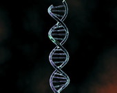 HIV DNA Mutation