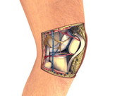 Internal Knee Anatomy