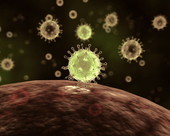 SARS Virus 1