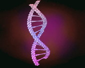 DNA Helix 1