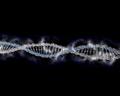 DNA Helix 3
