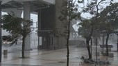 Building and trees in Typhoon Vongfong